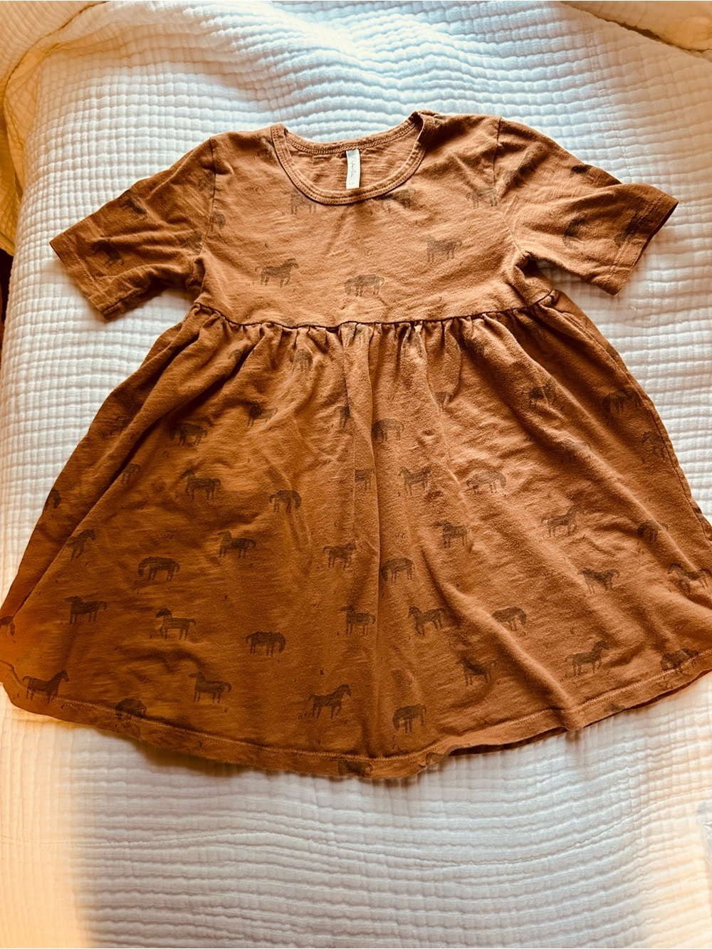 Rylee + Cru Short-Sleeve Twirl Dress in Rust Brown with Animal Print